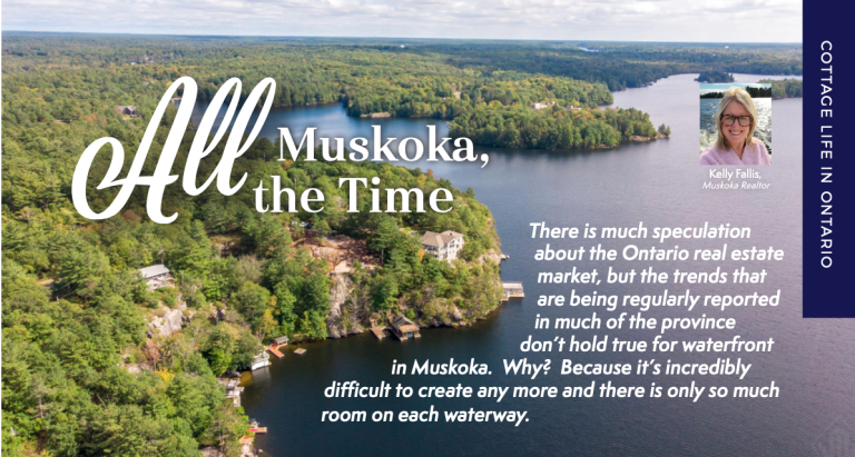 Infographic showing Muskoka property statistics